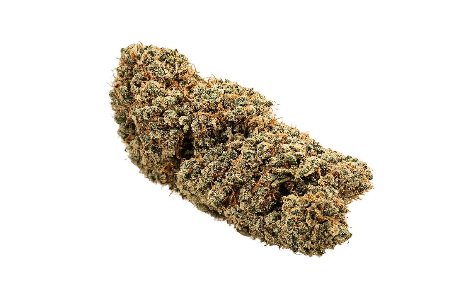Griselda CBD-X