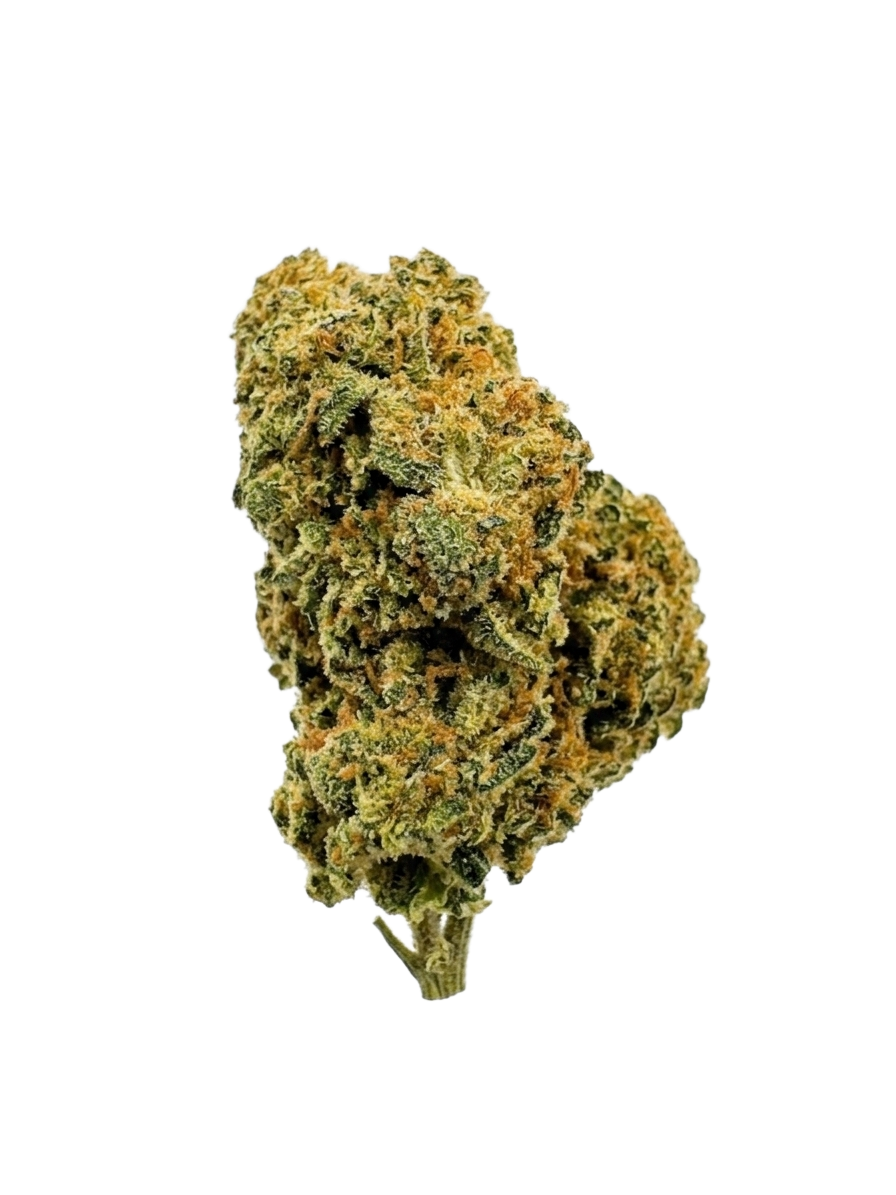 Maléfique CBD-X